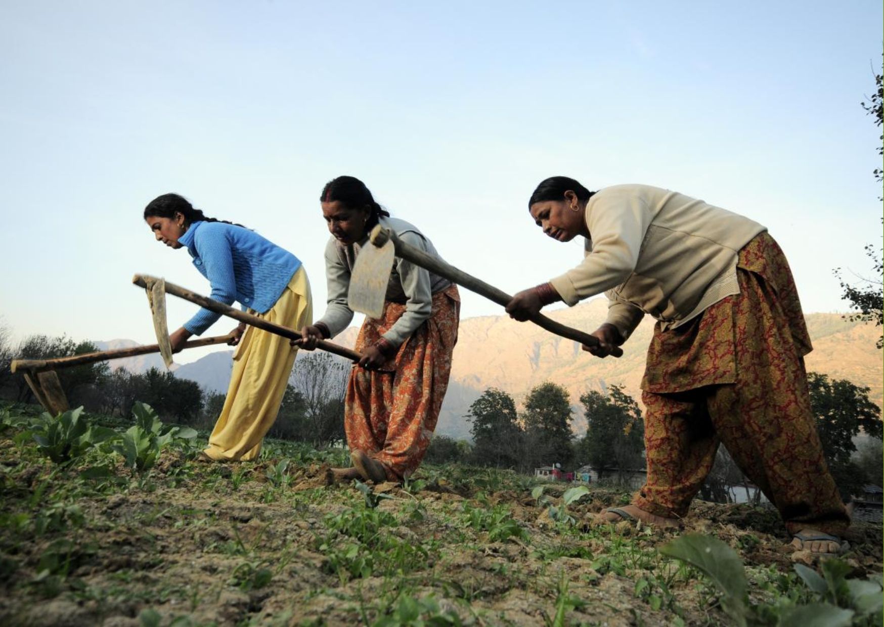 आजीविका परामर्श